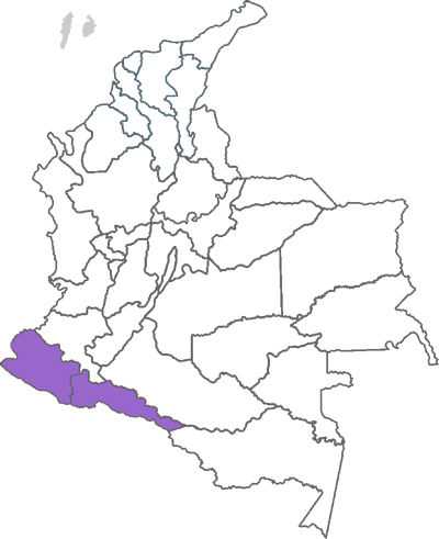 Área de influencia Nariño